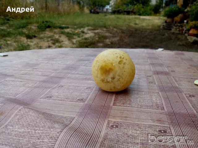 Свещ,снежен човек, снимка 6 - Антикварни и старинни предмети - 19396913