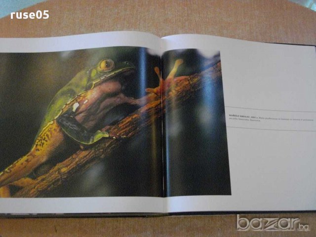 Книга "Широк обхват. Великите панорами-Ф.Процман" - 504 стр., снимка 4 - Художествена литература - 14283785