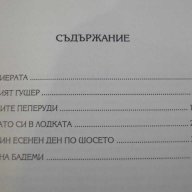 Книга "Когато си в лодката - Павел Вежинов" - 336 стр., снимка 3 - Художествена литература - 8088617