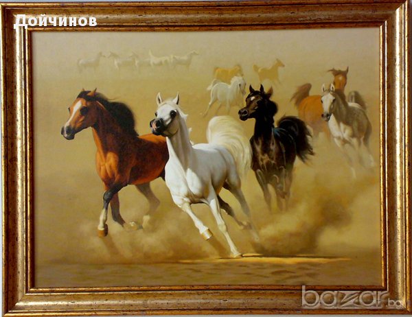 Арабски коне, картина, снимка 1