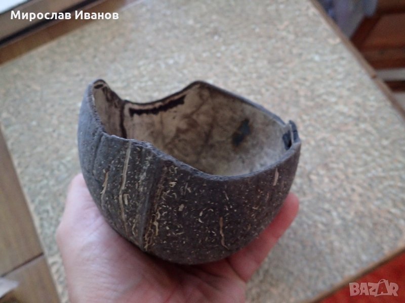 част от кокосов орех за декорация, снимка 1
