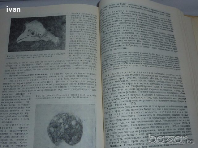 Вирусни болести по домашните животни, снимка 6 - Специализирана литература - 18923418