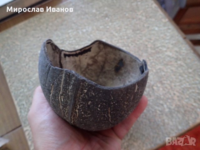 част от кокосов орех за декорация, снимка 1 - Декорация за дома - 22000434