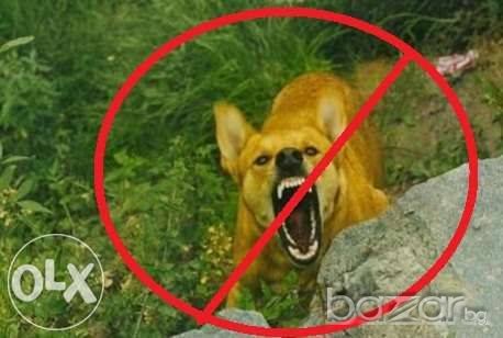 Кучегон ултразвуков + фенер – Прогонва агресивни кучета, снимка 3 - Други - 20910163