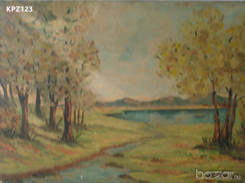 Пейзаж с езеро масло, М.Михайлов, снимка 1