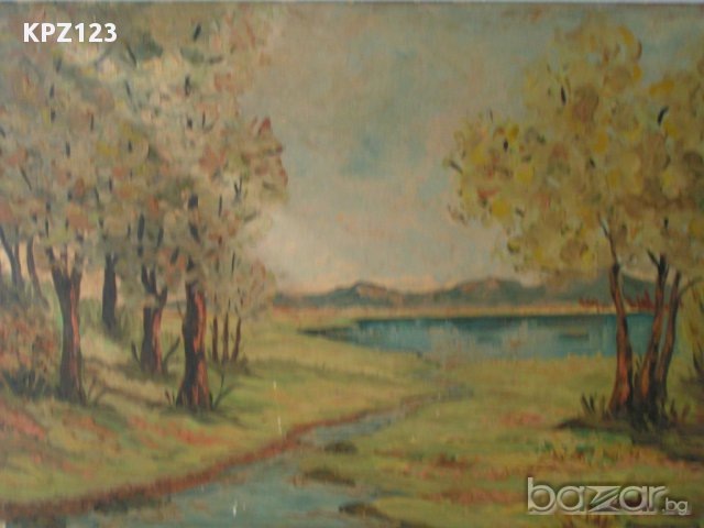 Пейзаж с езеро масло, М.Михайлов, снимка 1 - Картини - 12781267