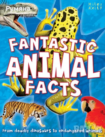 Fantastic Animal Facts / Интересни факти за животните, снимка 1 - Детски книжки - 23479821