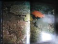 Книга "Живой океан - Н.Калинин" - 240 стр., снимка 4