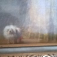 картина-дамата с кучето, снимка 3 - Картини - 17660576