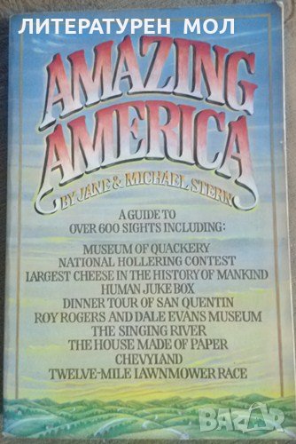 Amazing America By Jane, Michael Stern, снимка 1
