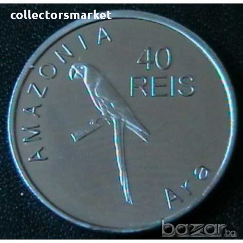 40 реис 2012, Амазонас ( Бразилия )