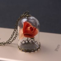 Beauty and the Beast колие с роза под стъклен похлупак, снимка 4 - Колиета, медальони, синджири - 21988603