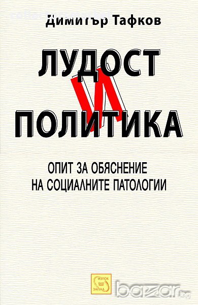 Лудост и политика, снимка 1