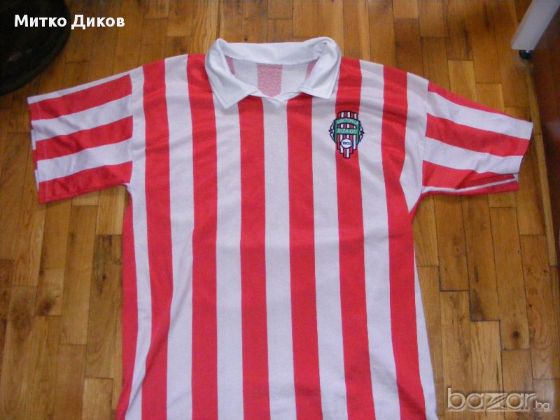 Футболна фланелка Виктория Жижков, снимка 1