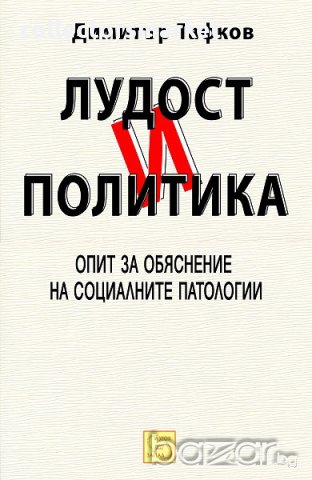 Лудост и политика