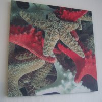 " Морски звезди " - картина пано, снимка 1 - Декорация за дома - 21357474