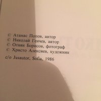 Велико Тьрново средновековна и вьзрожденска култура , снимка 9 - Енциклопедии, справочници - 22967985