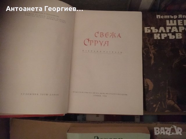 Български писатели, снимка 2 - Българска литература - 25160291
