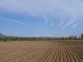 Купувам и управлявам земеделски земи в община Червен бряг, снимка 1 - Земеделска земя - 9755394