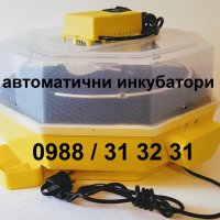 Автоматичен румънски инкубатор КЛЕО 5. Инкубатори за пилета.