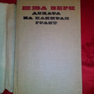 Децата на Капитан Грант-Жул Верн, снимка 2 - Детски книжки - 16741428