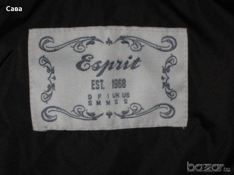 Елек ESPRIT   дамски,м, снимка 1