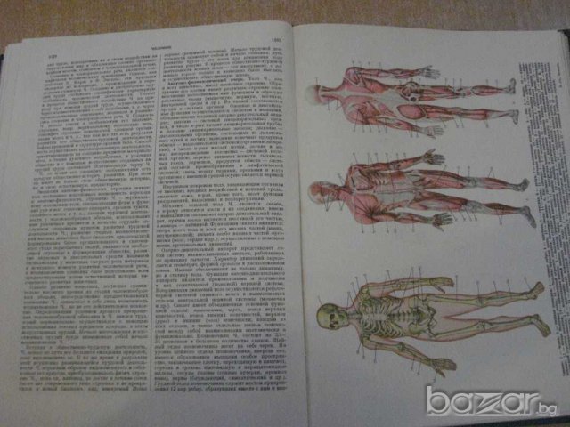 Книга "Популярная медицинская энциклопедия-Бакулев"-1252стр., снимка 3 - Специализирана литература - 7798411