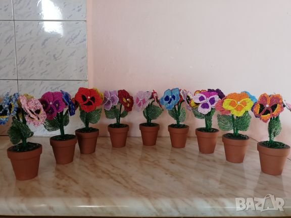 Теменужки, снимка 1