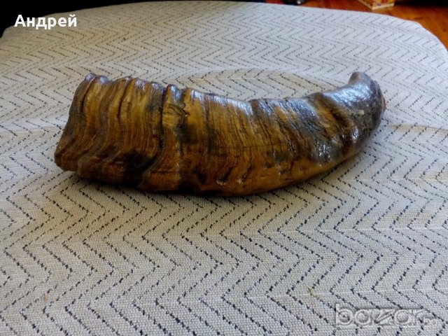 Рог барутница, снимка 3 - Антикварни и старинни предмети - 20468635