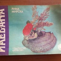 Икебана - Рима Мирска, снимка 1 - Художествена литература - 25296494