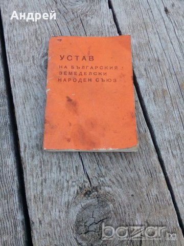 Устав на БЗНС