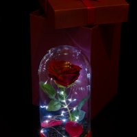 Вечна роза в ГОЛЯМА стъкленица / Уникален подарък за приятелка / Вечна роза от "Красавицата и звяра", снимка 3 - Декорация за дома - 23376361