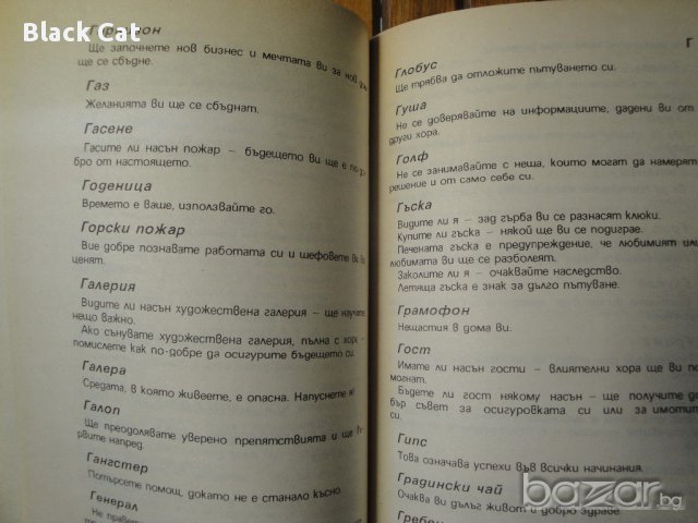 Книга / справочник "Универсален съновник на модерния човек", книжка, роман, повест, снимка 3 - Енциклопедии, справочници - 10685933