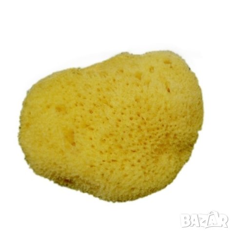 Естествената морска гъба Levant, снимка 1