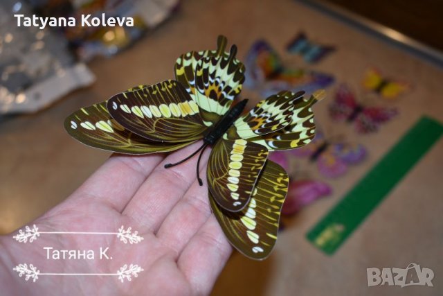 3D пеперуди за декорация с двойни крила СВЕТЕЩИ, снимка 10 - Декорация за дома - 25424987