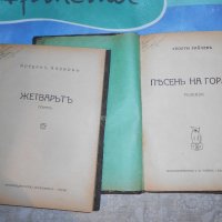 Георги Райчев -песен на гората 1928 г , снимка 7 - Художествена литература - 22324287