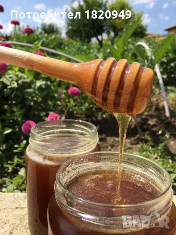 Мед (домашен, натурален, многоцветен букет), снимка 4 - Пчелни продукти - 22186355