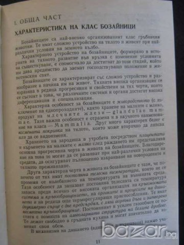 Книга "Бозайници - Проф. д-р Георги Марков" - 418 стр., снимка 2 - Специализирана литература - 7877615