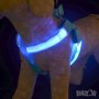 нашийник светещ LED за куче гръдна 50-90см ВИЖДА СЕ ОТ ДАЛЕЧ