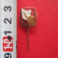 Стара значка знак Труд Учение бронз емайл , снимка 1 - Колекции - 25471538