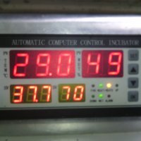 Терморегулатор за инкубатор, снимка 9 - Друга електроника - 25385321