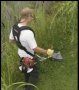 Почистване (косене) с храсторез на тревни площи,градини,дворове и т.н., снимка 4