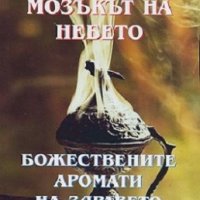 Тамянът - мозъкът на небето: Божествените аромати на здравето, снимка 1 - Езотерика - 18895242