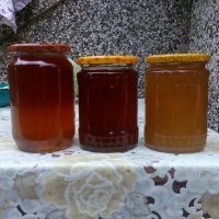 Продавам пчелен мед, снимка 5 - Пчелни продукти - 22033378