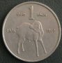 1 шилинг 1976 FAO, Сомалия, снимка 1 - Нумизматика и бонистика - 24864275