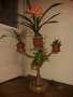 Арт стойка за цветя , свещи или друга декорация или вещи, снимка 1 - Декорация за дома - 23918389