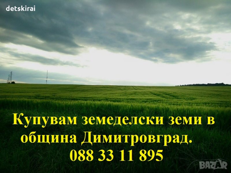 Изкупувам земеделски земи - община Димитровград, снимка 1