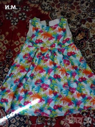 Красива рокличка, снимка 1