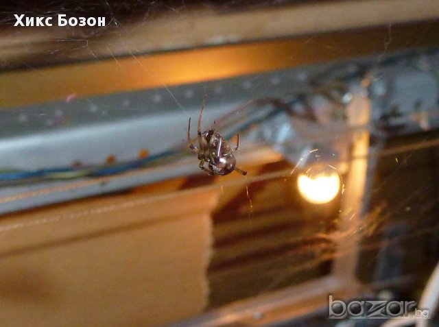 Уникална техника , 60-те години Хармония 103 лампов радио грамофон, снимка 6 - Грамофони - 12233386