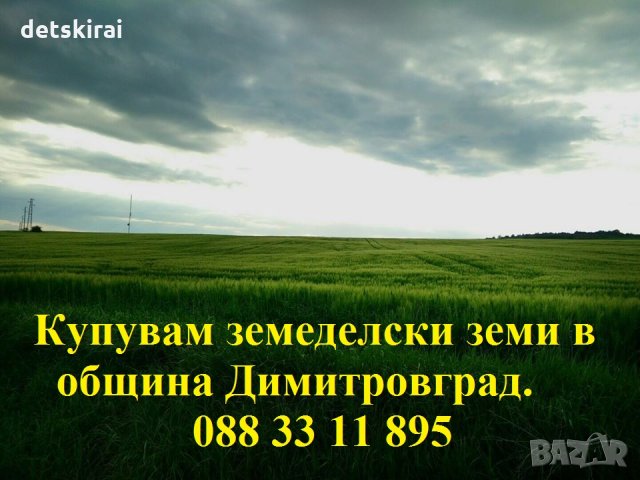 Изкупувам земеделски земи - община Димитровград, снимка 1 - Земеделска земя - 24479492